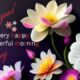 "multicolor good morning flowers showcasing natural beauty on a purple background.