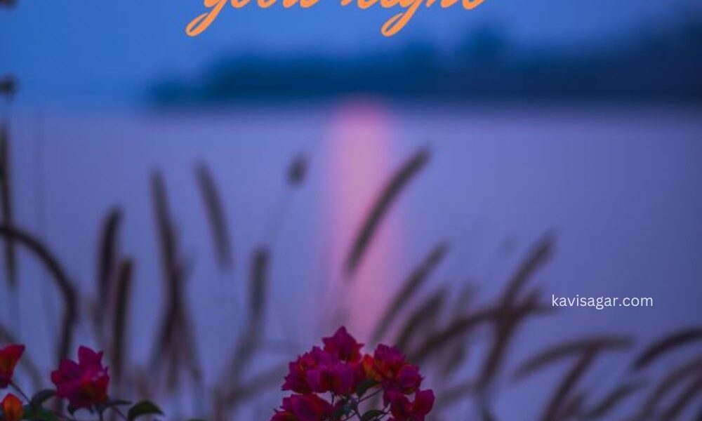 good night wish text with flowers in the evening light.
