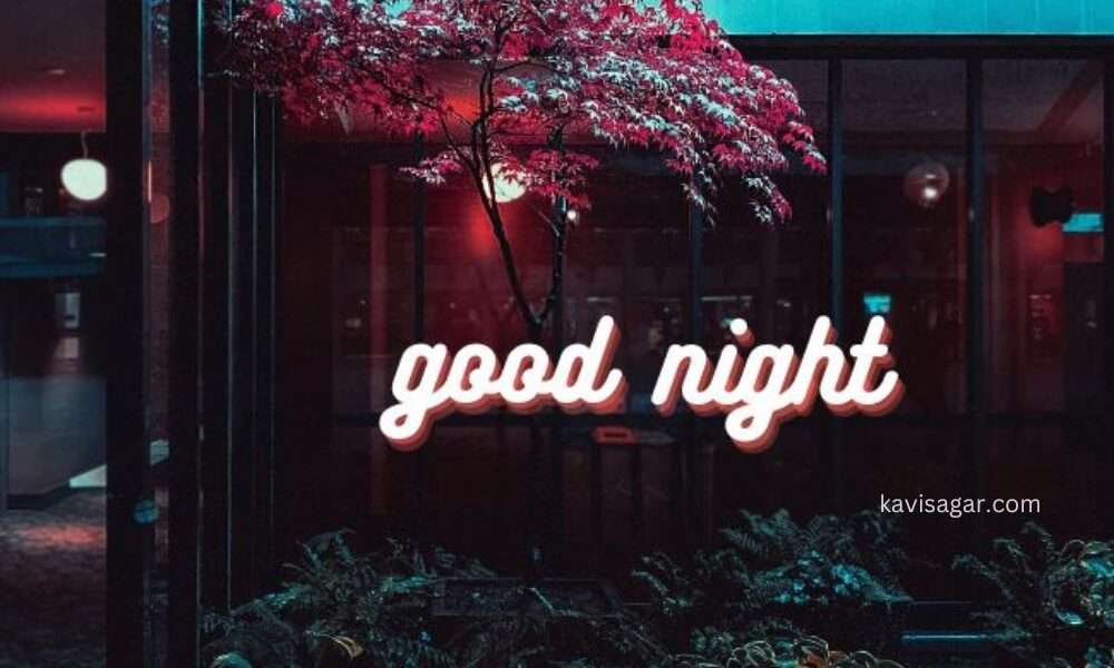 Flower tree and some dim lights in the courtyard of the house at night.