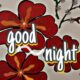 Good night text on water color red flower image.