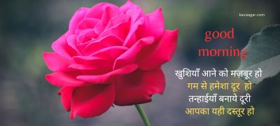 A red rose with blurred background with "Good Morning" shayari text.